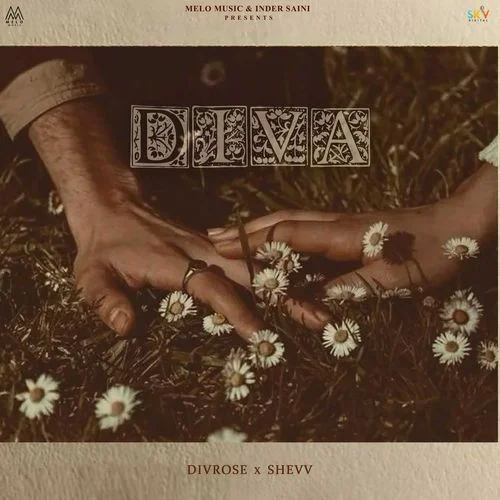 Diva - Divrose