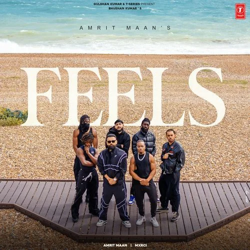 Feels - Amrit Maan