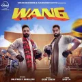 Wang Album Cover