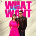 What You Want - Arjun Sahota