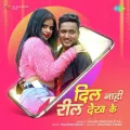 Dil Nahi Reel Dekh Ke