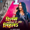 Dilwa Sawatiya Se Jod Lihale - Babita Sagar