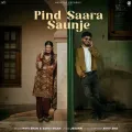 Pind Saara Saunje - Navi Sran