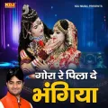 Gora Re Pila De Bhangiya