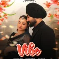 Vibe - Naibb Singh Song