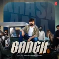 Baagh


 - Khasa Aala Chahar Mp3 Song Download Now