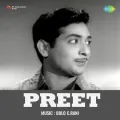 Bhool Na Jana - Preet