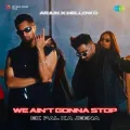 We Ain't Gonna Stop (Ek Pal Ka Jeena )