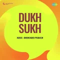 Ab Der Na Kar Sajan - Dukh Sukh Download mp3 song
