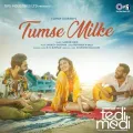 Tumse Milke - Tedi Medi