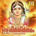 Rudrabhishekam Album Cover