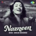 Nakhre Dikhla Ke Dil Le Liya - Nazneen
