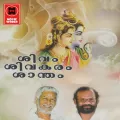 Sindurarunavigraha Album Cover
