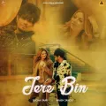 Tere Bin - Sucha Yaar Free MP3 Download