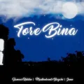 Tore Bina - Sameer Uddin