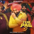 Tedi pag 2 - Ravinder Grewal