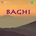 Lag Chali Bade Saba