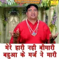 Mere Hari Nahi Bimari Bahua Ke Marj Ne Mari