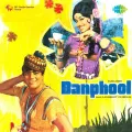 Aahen Na Bhar Thandi Thandi - Banphool