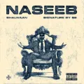 Naseeb - Bhalwaan Mp3 Song Free Download