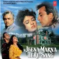 Ye Kya Hua Mera Dil Kho Gaya - Jeena Marna Tere Sang