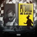 Pitbull - MC Square MP3 Song Download