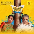Punnarapoonkaattil