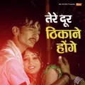 Tere Door Thikane Hoge Album Cover