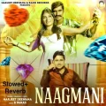 Seene Se Laga Ke Rakhu - Harjeet Deewana Mp3 Song Free Download