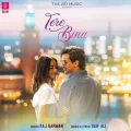 Tere Bina - Saif Ali
