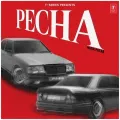 Pecha - Wazir Patar Mp3 Song Free Download