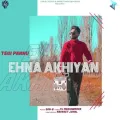 Ehna Akhiyan (feat. Tegi Pannu) Album Cover