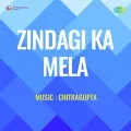 Chhup Chhup Ke Na Dekho Balma - Zindagi Ka Mela