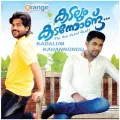 Palanaalai Album Cover