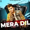 Mera Dil Todke Album Cover