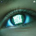 Not Sure - Cheema Y mp3 song download