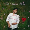 Dil Qaabu Mein - Suzonn