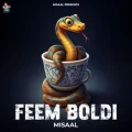 Feem Boldi - Misaal Song