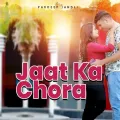 Jaat ka chora
