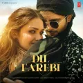 Dil Farebi - Altamash Faridi