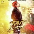 Tait Goriye Album Cover