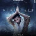 Bholenath (A Love Story) Album Cover