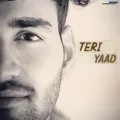 Teri Yaad