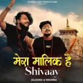 Mera Maalik Hai Shivaay (Slowed And Reverb) - Pankaj Vrk, Krishna Chaturvedi