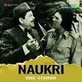 Maine Tumko Piya Kah Diya - Naukri