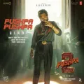 Pushpa Pushpa - Pushpa 2 The Rule (Hindi)