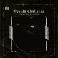 Openly Challenge - Skimmy Jass Download mp3 song