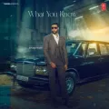 What You Know - Avkash Mann