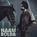 Naam Bolda - Jashan Mahal Song Mp3 Download