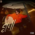Still - Kulwinder Sohi